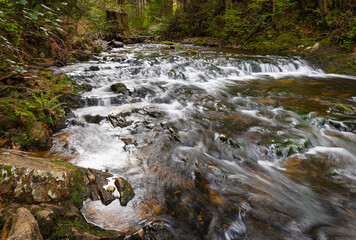 Obraz premium Beautiful mountain rainforest waterfall with fast flowing water and rocks, long exposure.