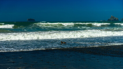 Olympic National Park Rialto Beach, Washington State