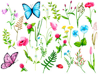 Big colorful set of wild flowers, meadow herbs with butterflies. Watercolor collection of elements for the design of cards, invitations, posters, fabric prints, patterns.