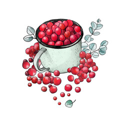 Retro cup filled with red berries. Winter still life, naturalistic drawing, cute Christmas still life. - 502466903