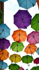 colorful umbrellas on a white background