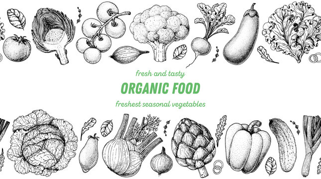 Vegetables hand drawn illustration. Top view frame. Vintage hand drawn sketch. Organic food poster. Good nutrition, healthy food. Vector illustration. Cabbage, fennel, artichoke, pepper, eggplant.