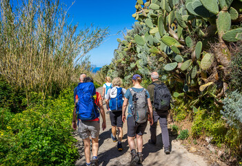 Sizilien im Frühling: Küstenwanderung Insel Lipari - Wandergruppe auf einem Weg mit Schilf und Kaktus im Südwesten