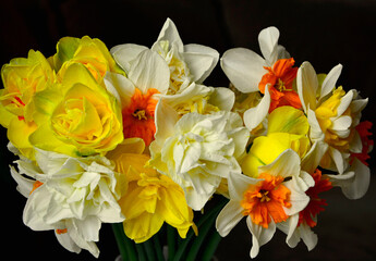 żółte narcyzy w wazonie (Narcissus), Wielkanoc, wielkanocna dekoracja, wiosenne kwiaty, Easter...