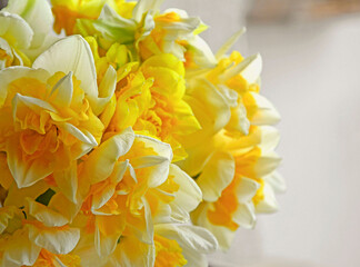 żółte narcyzy w wazonie (Narcissus), Wielkanoc, świąteczna ozdoba, wielkanocna dekoracja, wiosenne kwiaty	 - obrazy, fototapety, plakaty