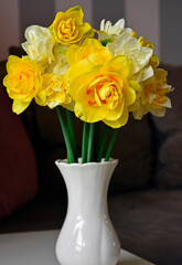 żółte narcyzy w wazonie (Narcissus), Wielkanoc, świąteczna ozdoba, wielkanocna dekoracja, wiosenne kwiaty	 - obrazy, fototapety, plakaty