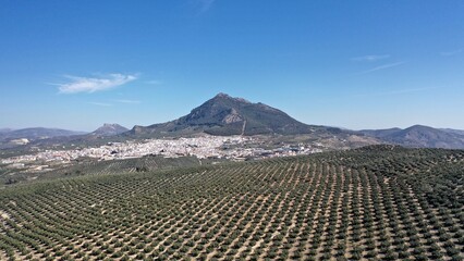 survol des champs d'oliviers (oliveraies), hacienda et village blanc en Andalousie dans le sud de l'Espagne	