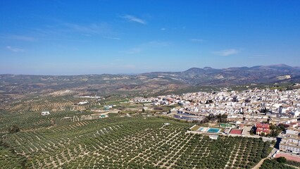 survol des champs d'oliviers (oliveraies), hacienda et village blanc en Andalousie dans le sud de l'Espagne	