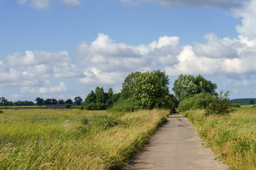 Fototapeta na wymiar A long road in an arable field. Farmland. A beautiful field road
