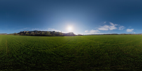 Aerial panorama over green wheat field in countryside. Field of wheat blowing in the wind on...