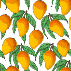 Mango fruit hand drawn package design. Vector illustration. Seamless pattern. Mango illustration. Can used for packaging design. Colorful.