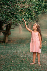 girl  is standing near the orange tree and touching orange with her hand