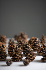 New Year's still life forest of pine cones on a white-gray background