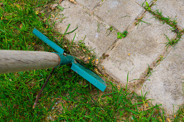 cutting corners in the lawn, fine tuning of paths