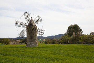 Fototapeta premium old windmill in the countryside