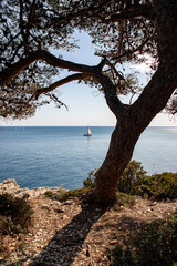 Fototapeta na wymiar Beautiful landscape on the Adriatic Sea. Blue water on a sunny April day. Istria peninsula Pula Croatia