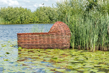 Basket of Moses, among the reeds and water lillies in the canals at Kinderdijk, Netherlands. - obrazy, fototapety, plakaty