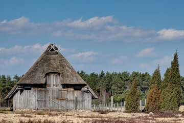 Typical thatched sheepfold in the nature reserve Lueneburg Heath which offers space for 350 sheep. Each flock of sheep has two of these stables, one near the village and one outside in the heath.
