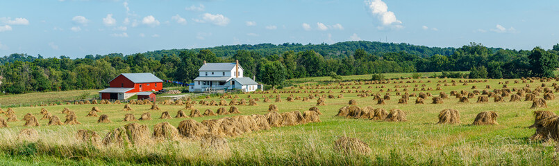 Field of Wheat Shocks with an Amish Farm in Background | Holmes County, Ohio