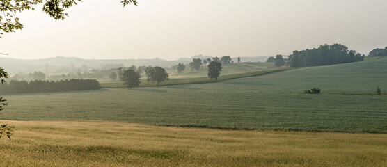 Fototapeta na wymiar Peaceful Morning in Amish Country, Ohio