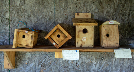 Homemade Wooden Bird Houses on a Shelf for Sale