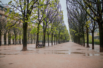 General view from city park of Paris with cube shaped trees.