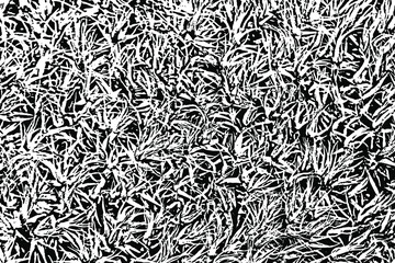 Natural texture of forest moss close-up. Monochrome background of the surface of the sphagnum. Overlay template. Vector illustration - obrazy, fototapety, plakaty