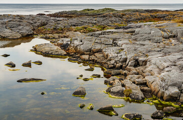Norwegian seascape, rocky coast with dramatic skies, the coast is partially covered with grass, shallow at low tide, sheer cliffs, 
