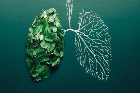 Lungs tree concept of air pollution and purification. Ecological symbol. Pneumonia and bronchitis idea illustration