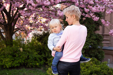 Fototapeta premium Beautiful woman with little baby boy near pink sakura blooming tree. Spring concept