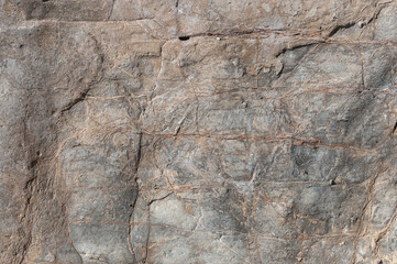Stone is old textured covered with cracks of gray and brown color close-up for backgrounds. Stone background of textured stone horizontal photography.