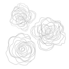 Floral silhouette art line. Flowers in continuous line drawing style. Border with tropical flower. Minimalist black linear sketch. Trendy vector illustration isolated. Contour graphics for design