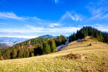 tree on hillside on autumn mountains. beautiful bright landscape with hazy mountain ridge in a...
