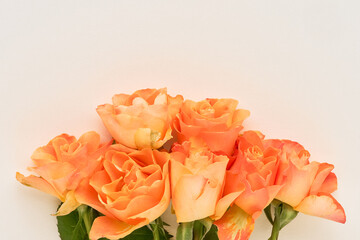 Bunch of orange roses. Mother's day, Valentines Day, Birthday celebration concept. Flat lay