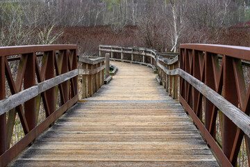 Wood bridge in the Mercer Slough wetland nature park trail system, adventure on a spring day
