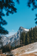 Berggipfel mit &Auml;sten im Vordergrund