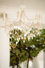 classic chandelier