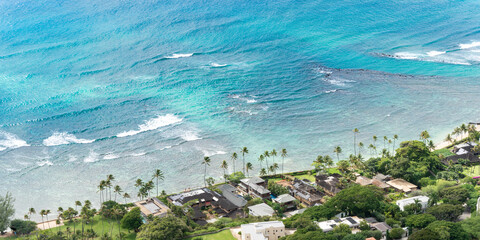 Pacific through the Palms
