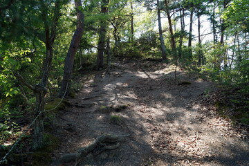 Trail