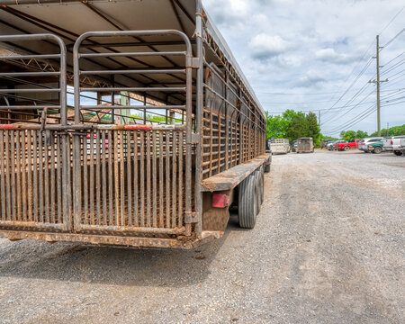 Livestock trailer, truck parked at the cattle, horse auction sale.