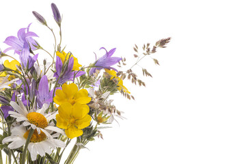 Closeup of wild summer flowers bouquet isolated on white background as creative flower decoration