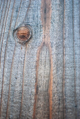 old gray wood texture