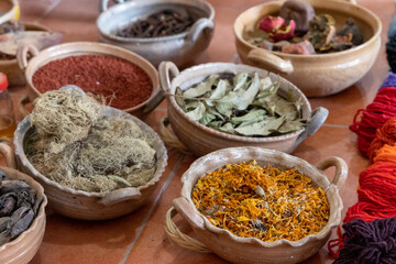 Bowls of Plants used to Make Natural Dyes in Oaxaca Mexico