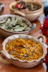 Bowls of Plants used to Make Natural Dyes in Oaxaca Mexico