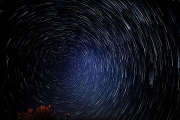 Fototapeta premium Stars moving slowly in sky taken from a Suburban Sydney Park NSW Australia