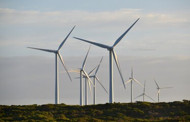 Wind turbine in busland
