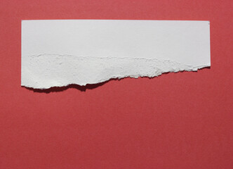 pieces of torn paper texture background