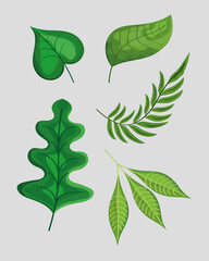 five leaves plants icons