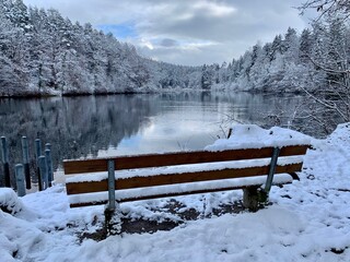 Sitzbank am Waldweiher Thalwil im Schnee - Winter / Winterlandschaft im Sihltal - Kanton Zürich