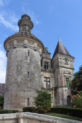 Fototapeta na wymiar Nouvelle-Aquitaine - Charente-Maritime - Chateau d'Usson - Tour ronde et son lanternon